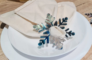 Silver Mirror Snowflake Napkin Holder + Coaster Set